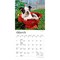 BrownTrout; Boston Terrier Puppies | 2027 7 x 14 Inch (Hanging) Monthly Mini Wall Calendar; Category:Wall Calendars; Image:4